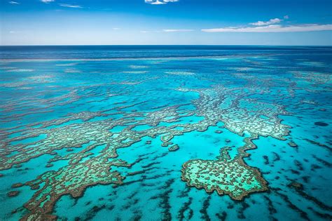 travle_gbr|Travel guide to the Great Barrier Reef .
